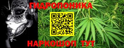 ГАЛЛЮЦИНОГЕННЫЕ ГРИБЫ Брянск