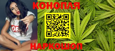 Альфа ПВП Боровичи