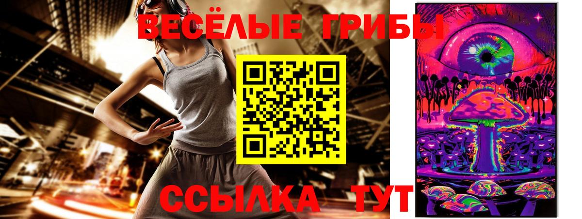 Галлюциногенные грибы Psilocybine cubensis Гагарин