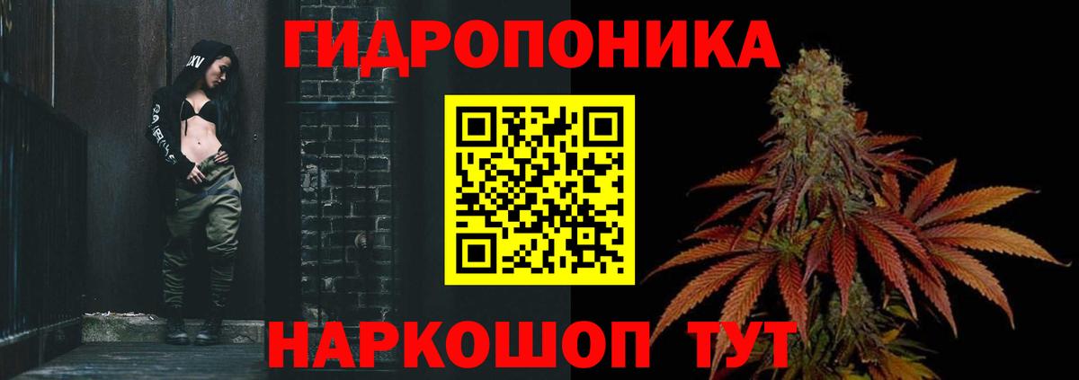 МАРИХУАНА сатива Гагарин